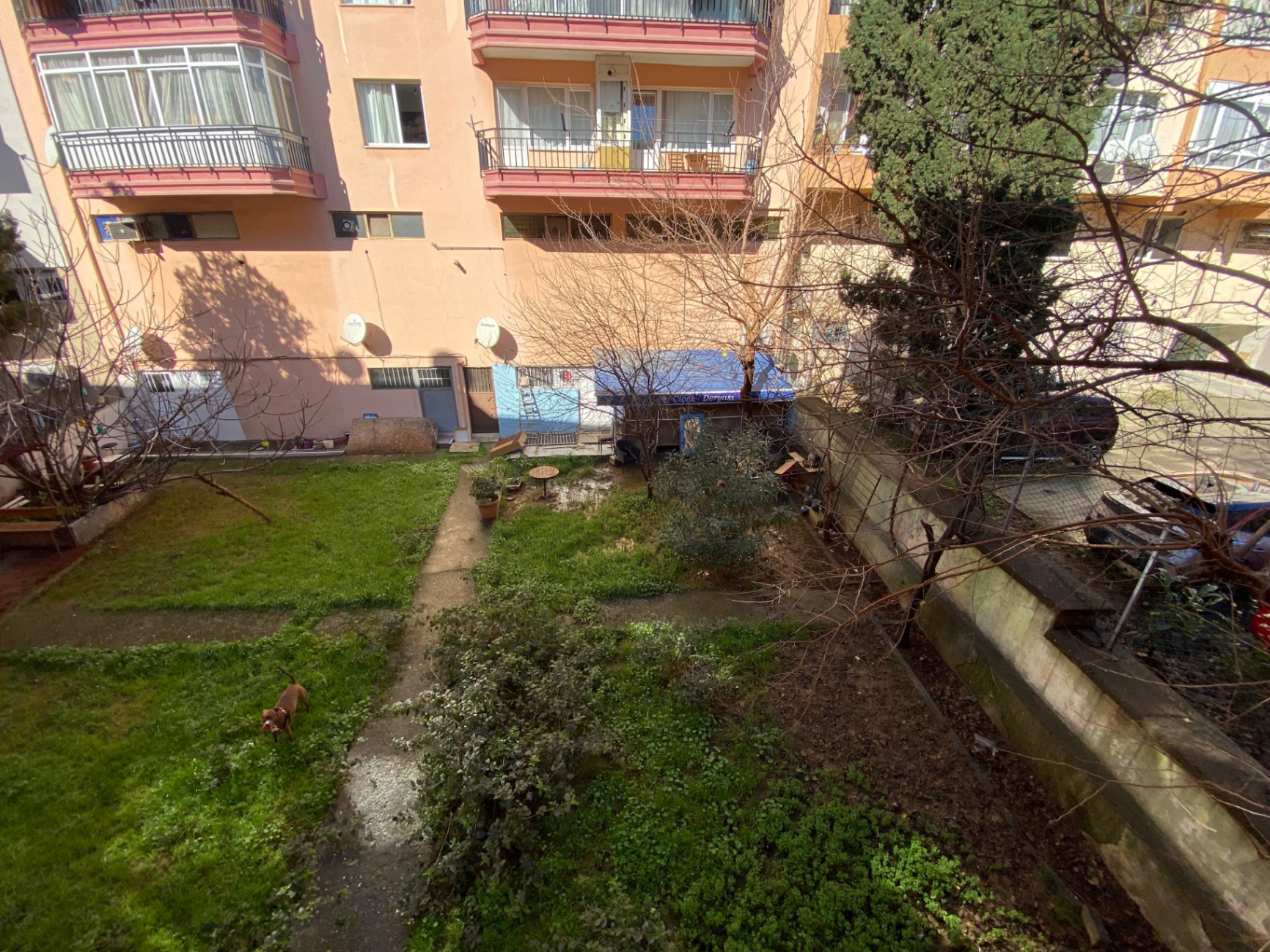 Image 12