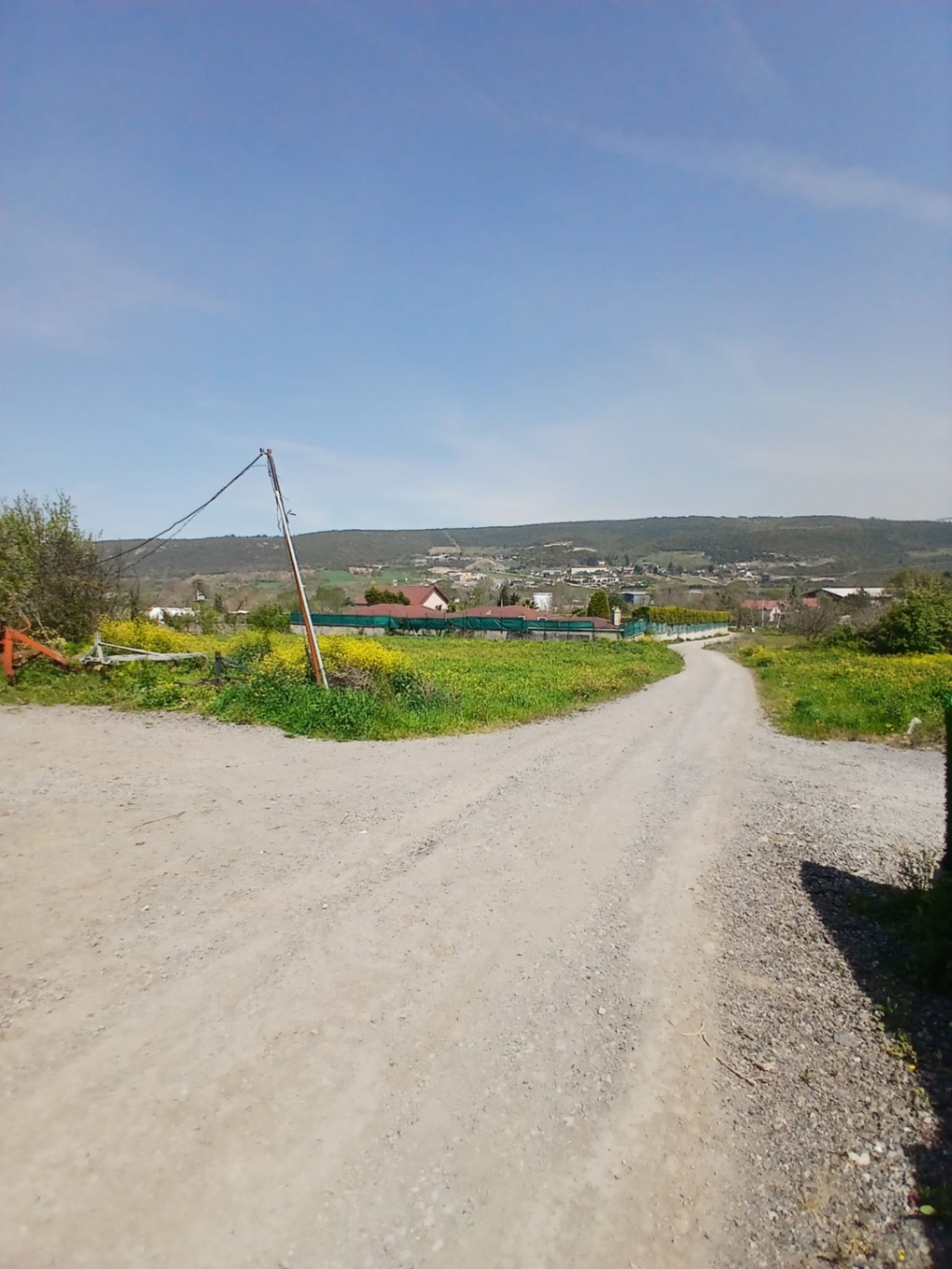 Image 14