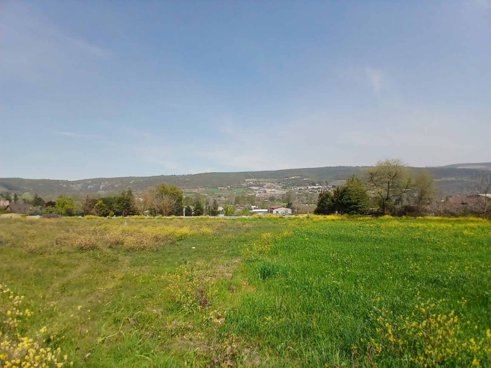 Image 12