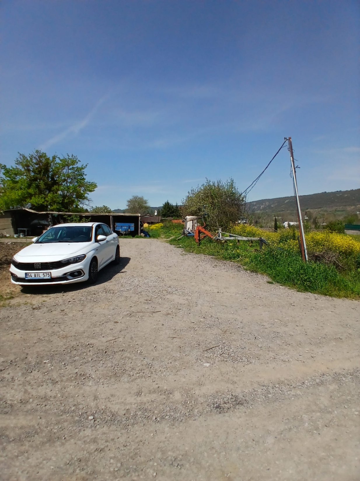 Image 15
