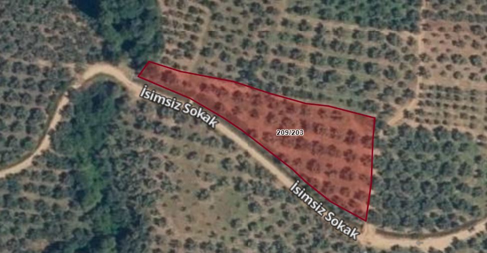 JETİZ DEN SATILIK BURSA ORHANGAZİ DE YOLA GENİŞ CEPHESİ OLAN ZEYTİNLİK