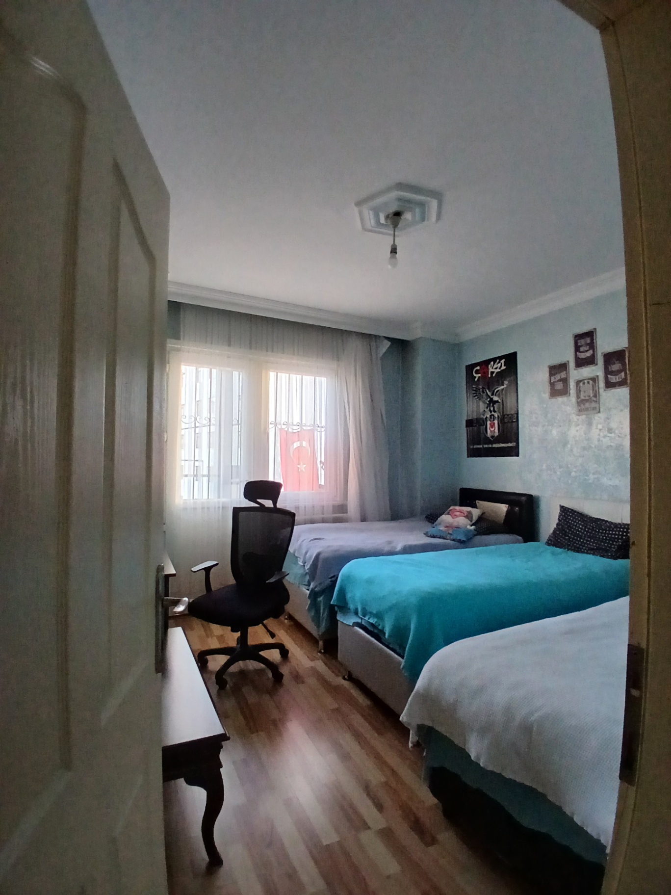 Image 7