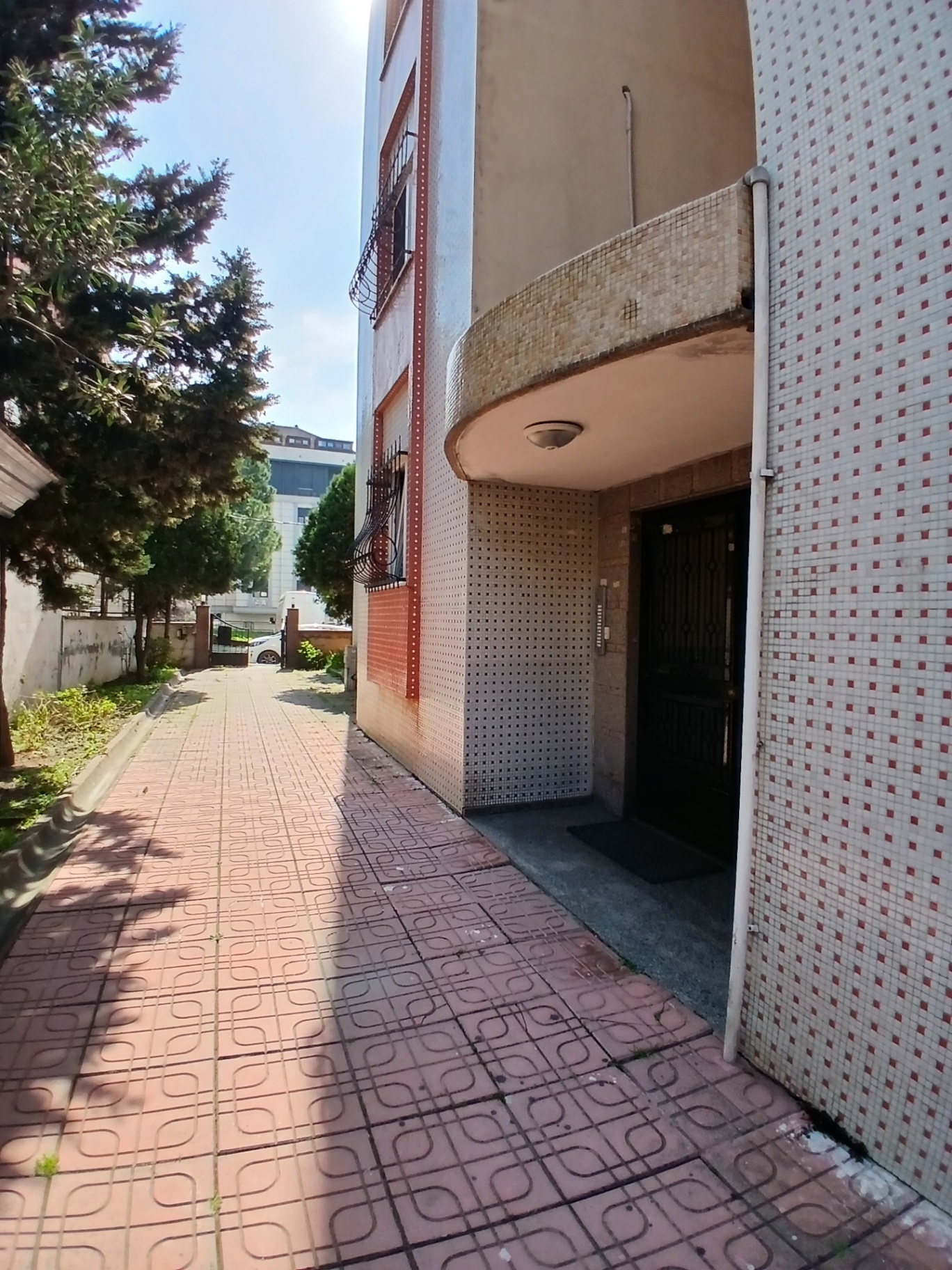 Image 6