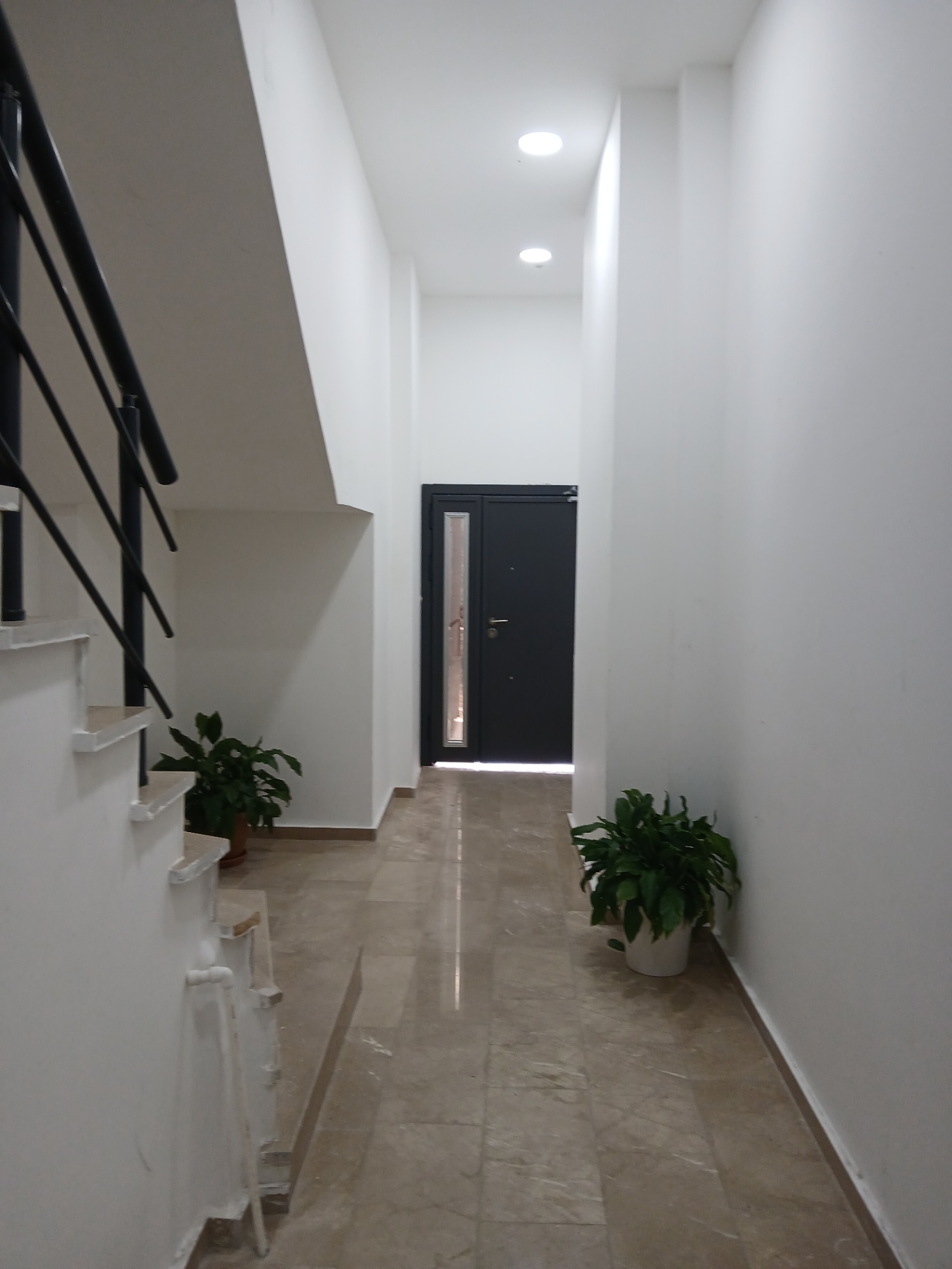 Image 21