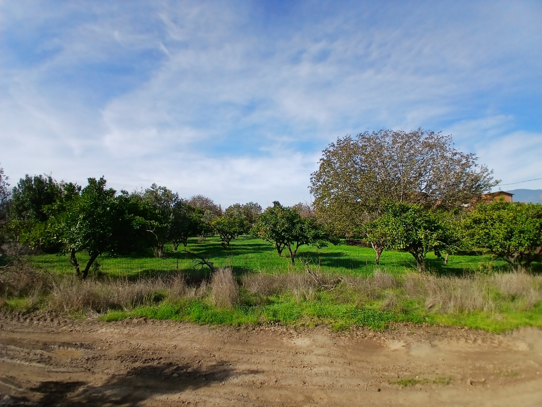 JETİZ DEN 4 ADET 2 KATLI VİLLA İMARLI ARSA