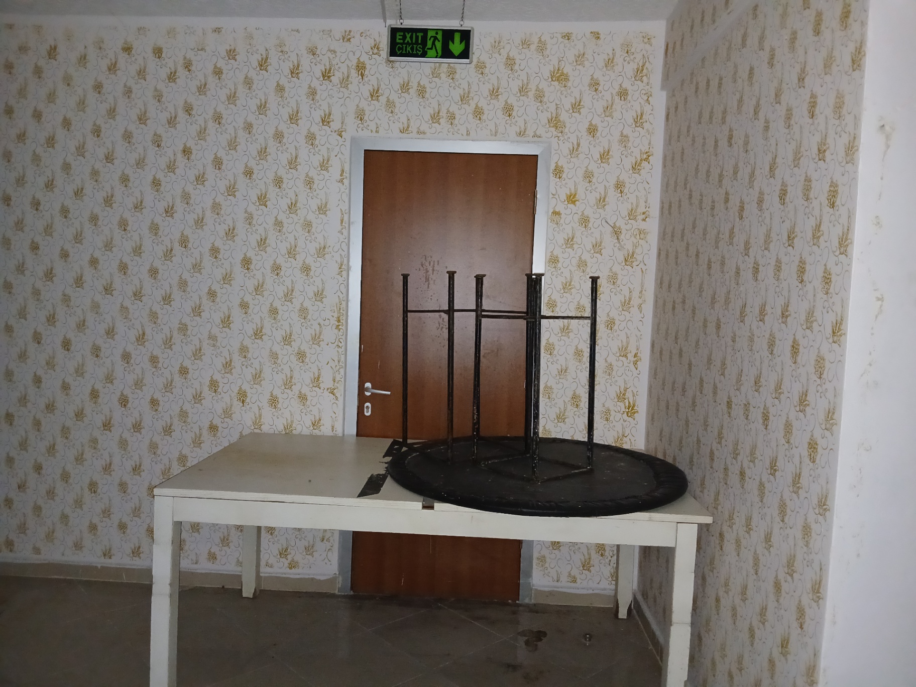 Image 8