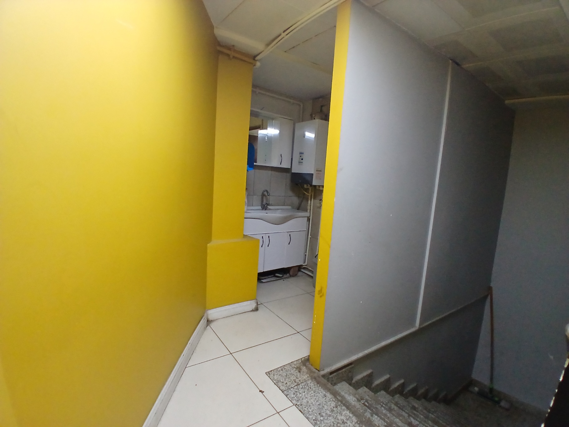 Image 7
